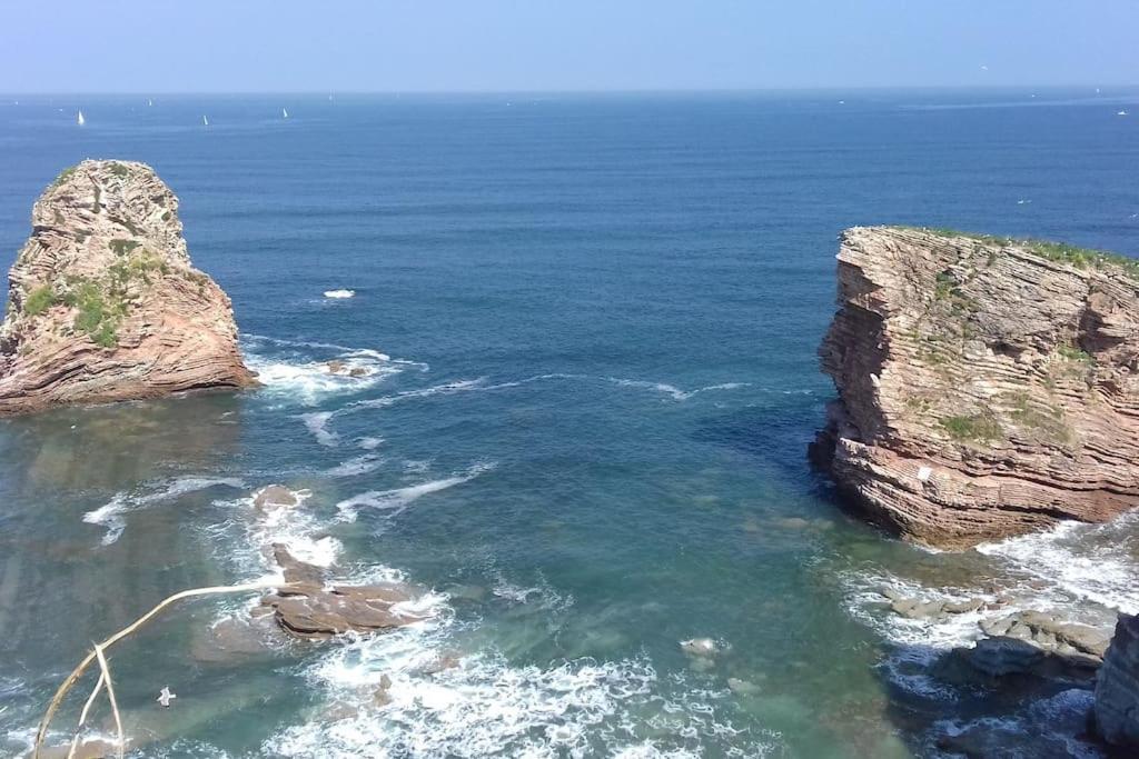 Gite Individuel Au Pays Basque A 1,5Km De St-Jean-Pied-De-Port Saint-Jean-Pied-de-Port Εξωτερικό φωτογραφία