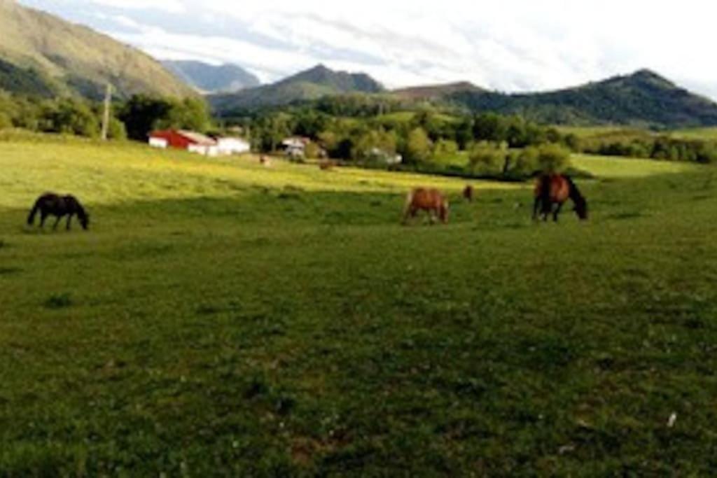Gite Individuel Au Pays Basque A 1,5Km De St-Jean-Pied-De-Port Saint-Jean-Pied-de-Port Εξωτερικό φωτογραφία