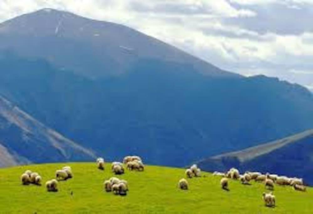 Gite Individuel Au Pays Basque A 1,5Km De St-Jean-Pied-De-Port Saint-Jean-Pied-de-Port Εξωτερικό φωτογραφία